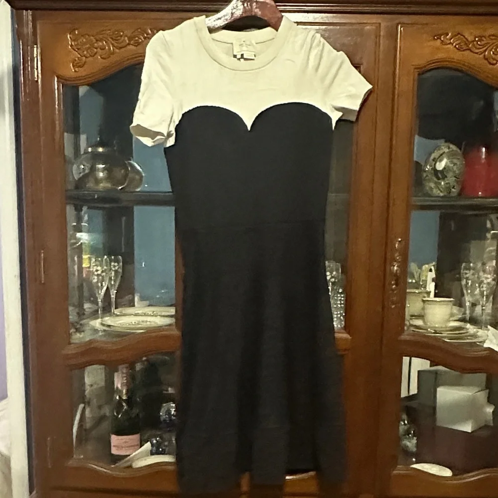 Kate Spade Look for the silver lining Flare Dress